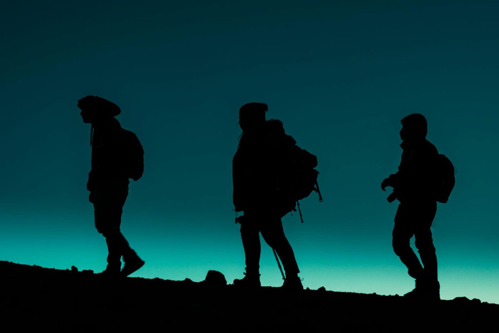 Exploring the Best Credit Cards in Mexico: A Comprehensive Guide to Gentera, BBVA Bancomer, and More - melhores cartões de crédito do Mexico