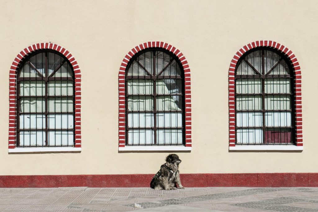 From Banco Nacional de Bolivia to Banco Sol: Choosing the Right Lender for Your Needs - Como solicitar empréstimo na Bolívia