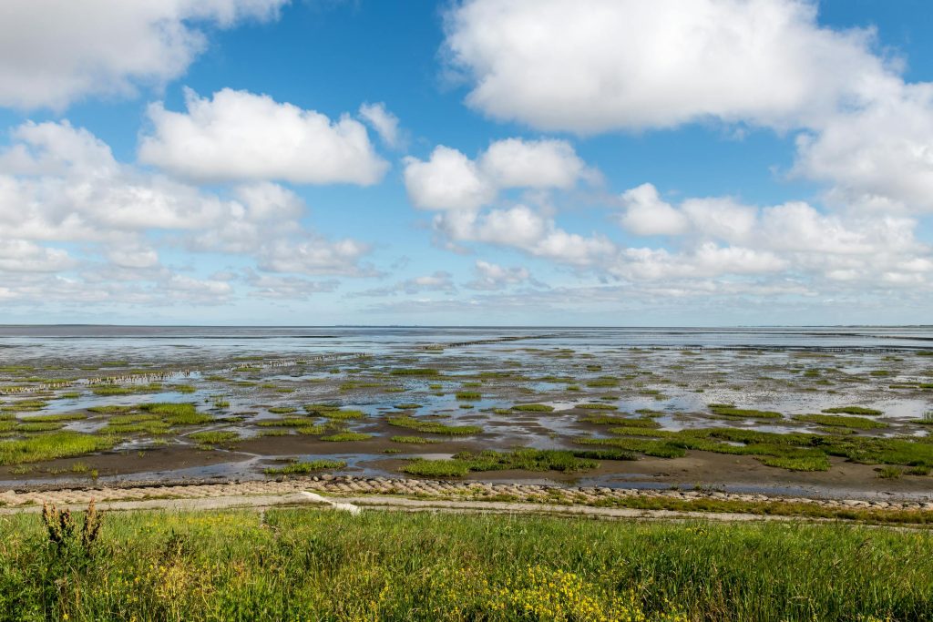 The Rise of Alternative Lending: How Platforms Like BrotherBank and Lendino are Changing the Loan Landscape in Denmark - Como solicitar empréstimo online na Dinamarca