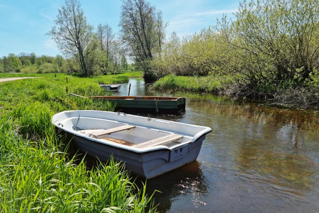 Navigating the Loan Landscape in Estonia: A Comprehensive Guide to Luminor Bank, Swedbank, and More - Como Solicitar empréstimo na Estônia