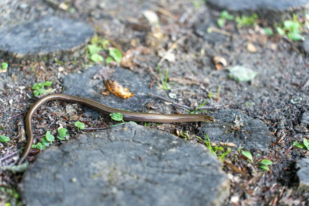 From Agrokor to Croatia Airlines: A Comprehensive Guide to Employment Opportunities in Croatia - melhores oportunidade de emprego na Croácia