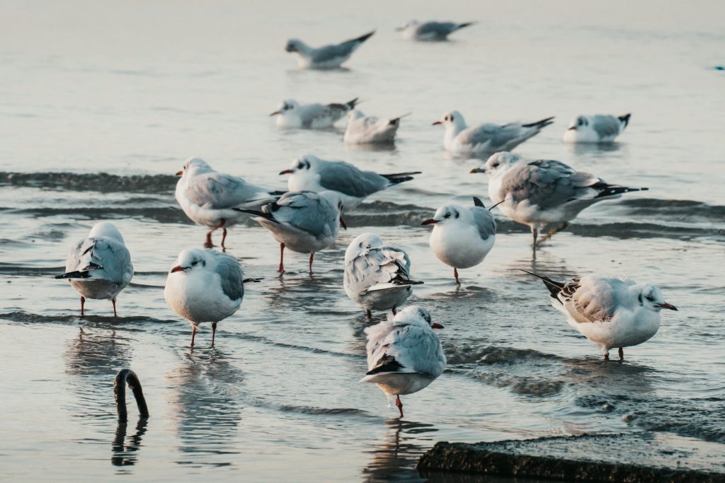 Uncovering the Best Job Opportunities in Estonia: Insights from Top Employers like Eesti Energia and Ericsson Estonia - Melhores oportunidade de emprego na Estônia