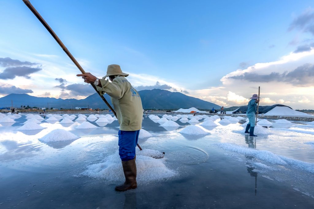 The Rise of Croatias Employment Landscape: Key Players Shaping Job Growth and Opportunities - melhores oportunidade de emprego na Croácia