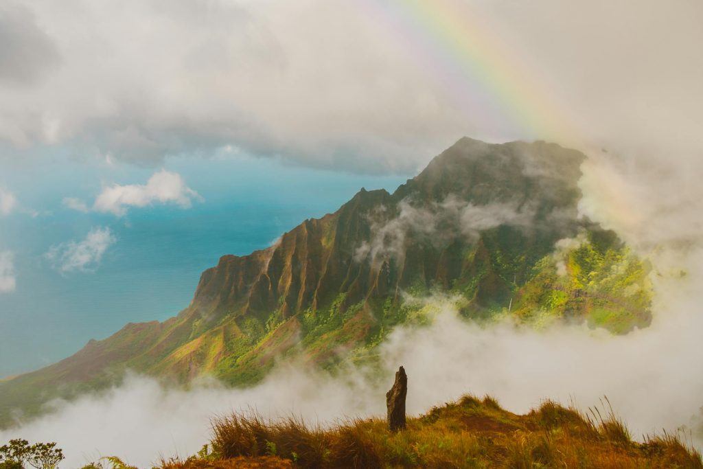 Unlocking Career Potential: Top Employers in Slovenia and Their Opportunities - Melhores oportunidade de emprego na Eslovênia