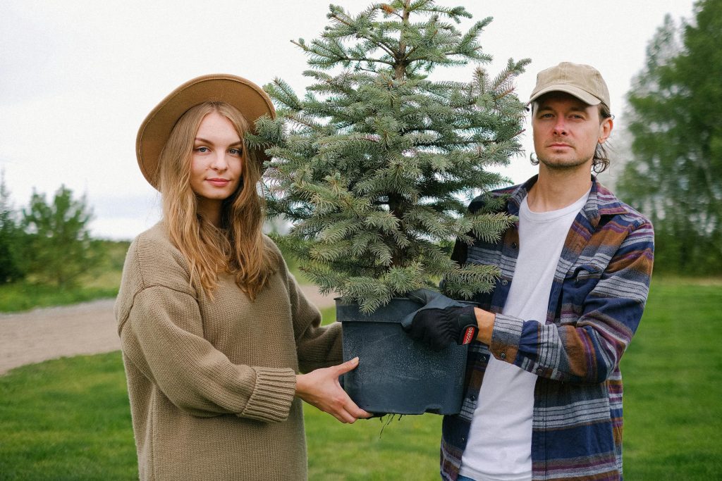 Navigating the Moldovan Job Landscape: Opportunities with Leading Companies - Melhores oportunidade de emprego na Moldávia