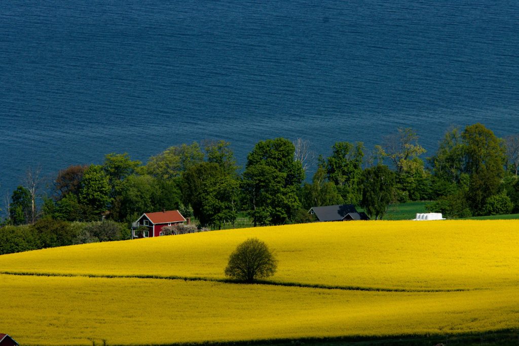 Understanding the Competitive Landscape of Swedish Loans: Insights into Fairlo, Anyfin, and SBAB - Melhores opções de empréstimo na Suécia