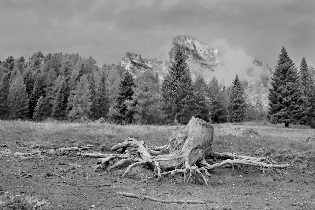 Unlocking Potential: A Comprehensive Guide to Lucrative Careers at Amgen Italy - As vagas mais bem pagas da amgen na italia