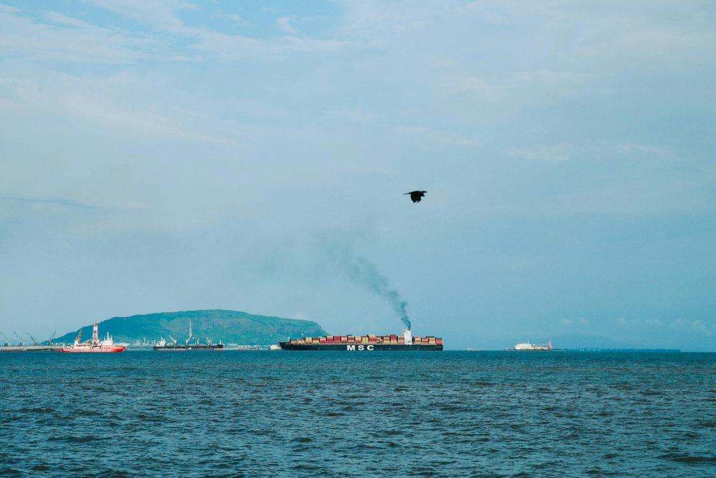 Navigating the MSC Finlandia Experience: Transform Your Career Potential in Ireland - Emprego na MSC Irlanda: chance real de carreira internacional finlandia