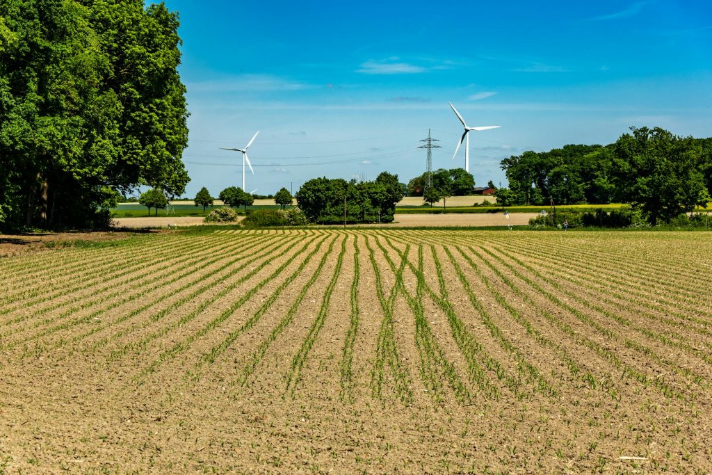 Exploring TotalEnergies Global Impact: Job Prospects in Greeces Energy Sector - Emprego em empresa global na Grécia: TotalEnergies abre oportunidades