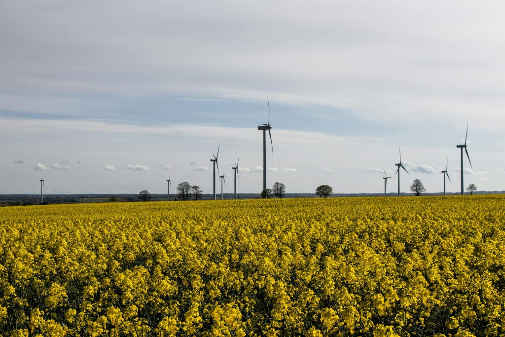 Empowering Careers: Discover TotalEnergies Role in Greeces Sustainable Energy Landscape - Emprego em empresa global na Grécia: TotalEnergies abre oportunidades