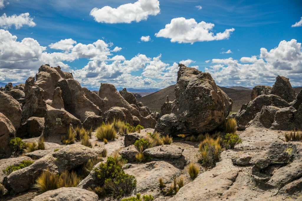 Exploring Your Future: Top Reasons to Pursue a Career with Novo Nordisk Hungary - Novo Nordisk Hungria: sua chance de trabalhar em uma multinacional farmacêutica
