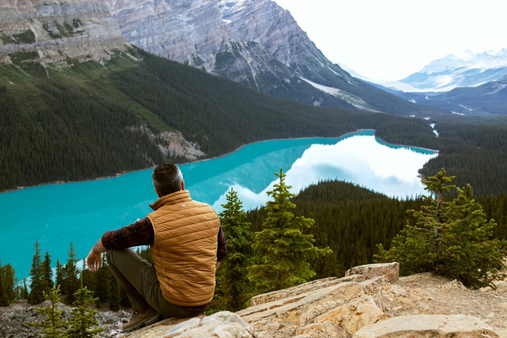Discover the Best Free Courses in Canada: Unlock Your Potential Without Breaking the Bank - CURSOS GRÁTIS no Canadá